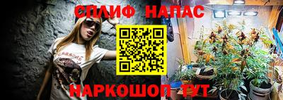молекула духа Можайск