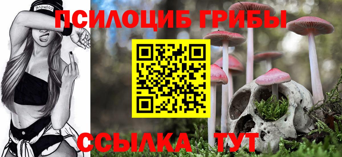 Псилоцибиновые грибы MAGIC MUSHROOMS Гудермес