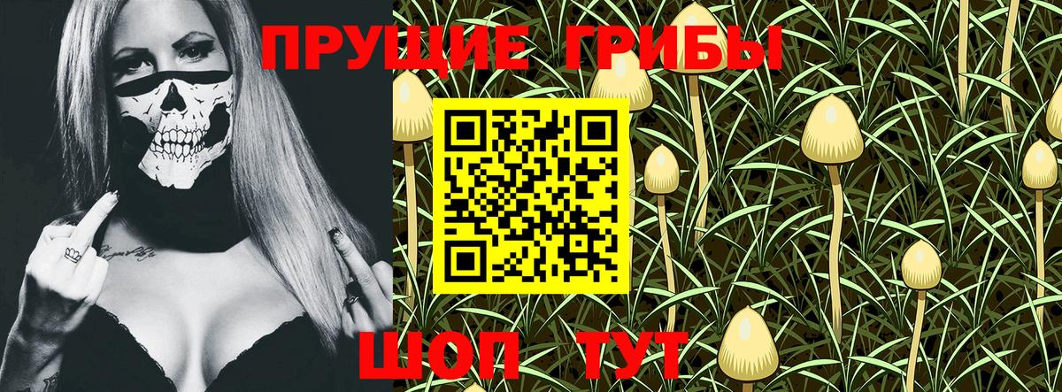 Псилоцибиновые грибы Psilocybine cubensis  Вход с VPN  Гудермес 